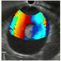 Click here to view Large image 26