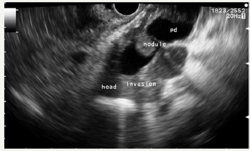 Click here to view Large image 27