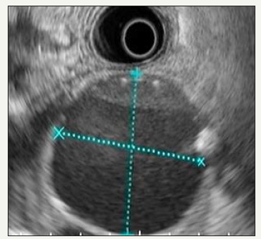 Click here to view Large image 4