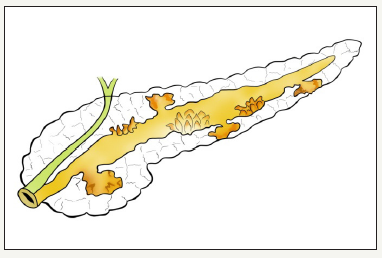 Click here to view Large image 7