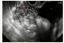 Click here to view Large image 9