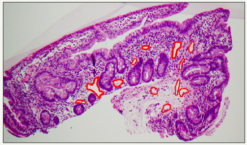 Click here to view Large image 2