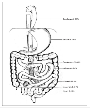 Click here to view Large image 2