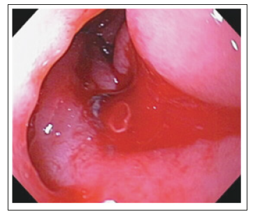 Click here to view Large image 3