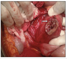 Click here to view Large image 7