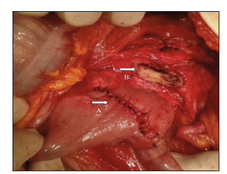 Click here to view Large image 8