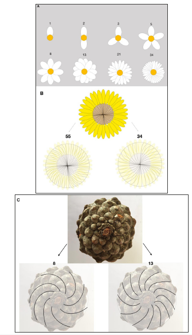 Click here to view Large image 3