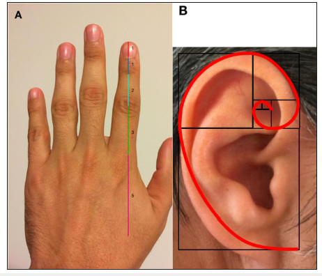 Click here to view Large image 6