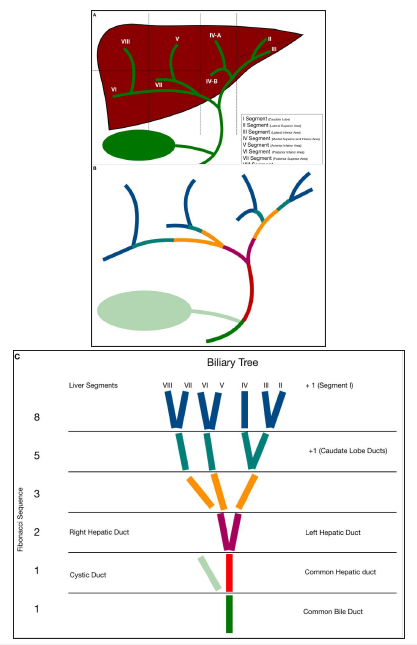 Click here to view Large image 7