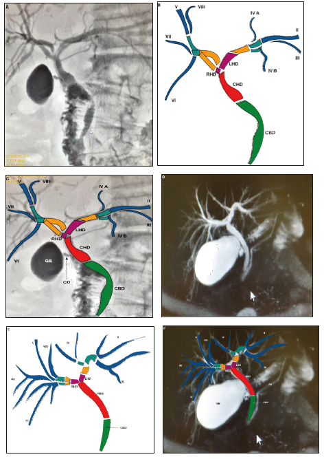 Click here to view Large image 8