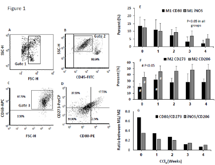 Click here to view Large image 1