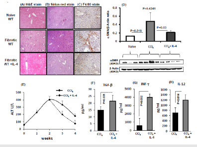 Click here to view Large image 4