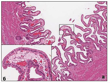 Click here to view Large image 13