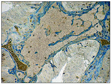 Click here to view Large image 2