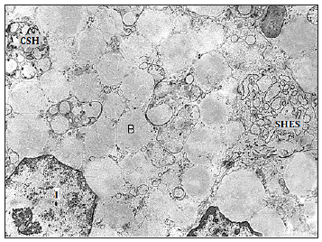 Click here to view Large image 4