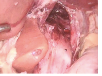 Click here to view Large image 1