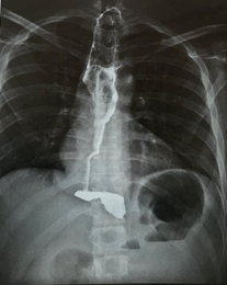 Click here to view Large image 1