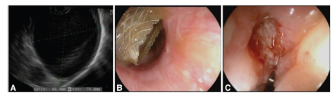 Click here to view Large image 2