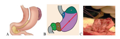 Click here to view Large image 1