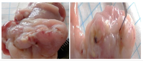 Click here to view Large image 2