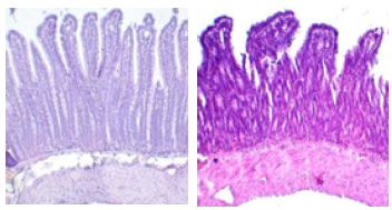 Click here to view Large image 4