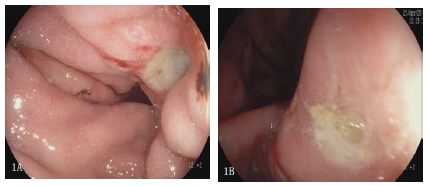 Click here to view Large image 1