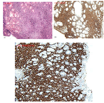 Click here to view Large image 2