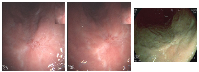 Click here to view Large image 3