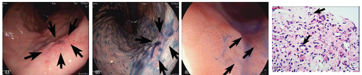 Click here to view Large image 4