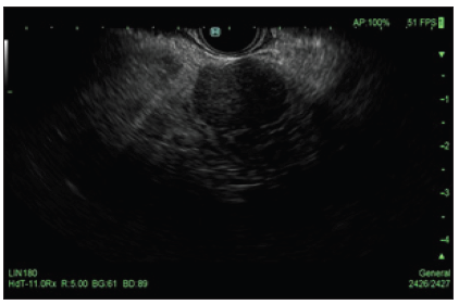 Click here to view Large image 2