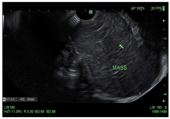 Click here to view Large image 2