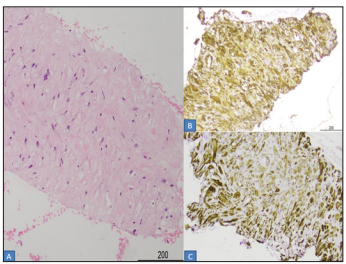 Click here to view Large image 3