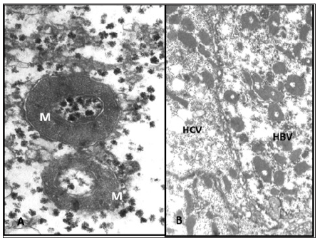 Click here to view Large image 3