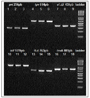 Click here to view Large image 1