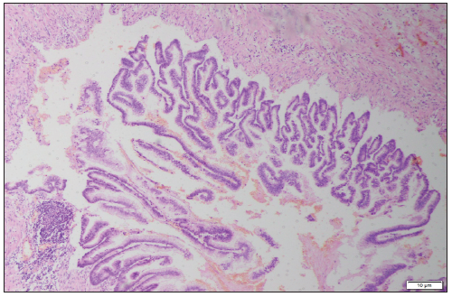 Click here to view Large image 1