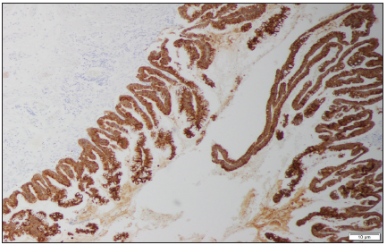 Click here to view Large image 2