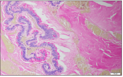 Click here to view Large image 3