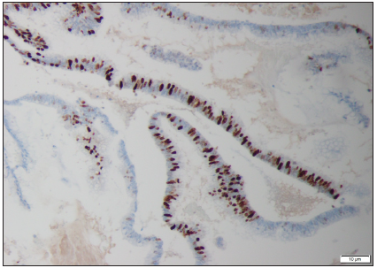 Click here to view Large image 4