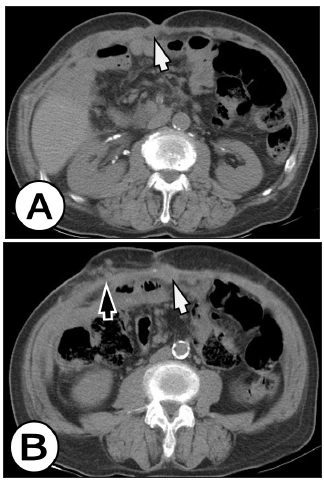 Click here to view Large image 1