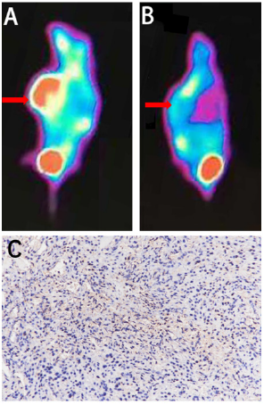 Click here to view Large image 1