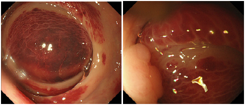 Click here to view Large image 3