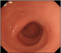 Click here to view Large image 4