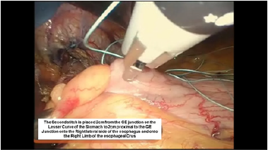 Click here to view Large image 7