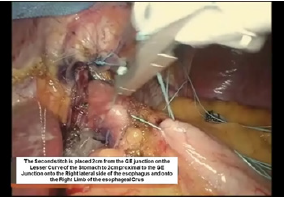 Click here to view Large image 9