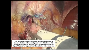 Click here to view Large image 12