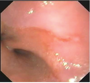 Click here to view Large image 3