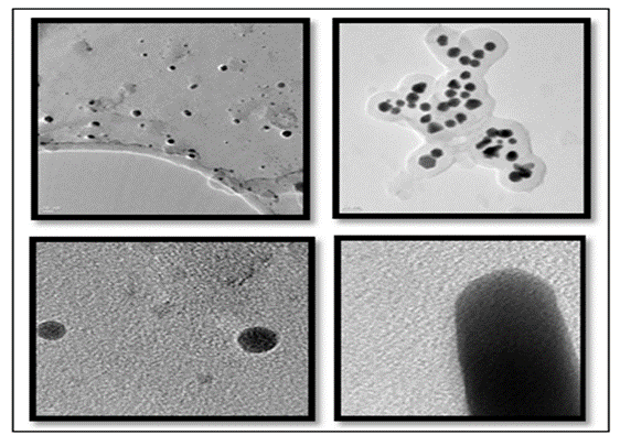 Click here to view Large image 3