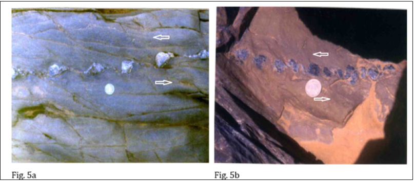 Click here to view Large image 5