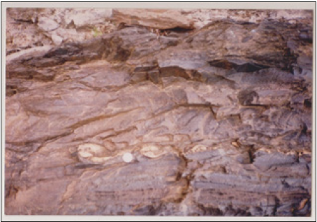 Click here to view Large image 6