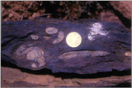 Click here to view Large image 7